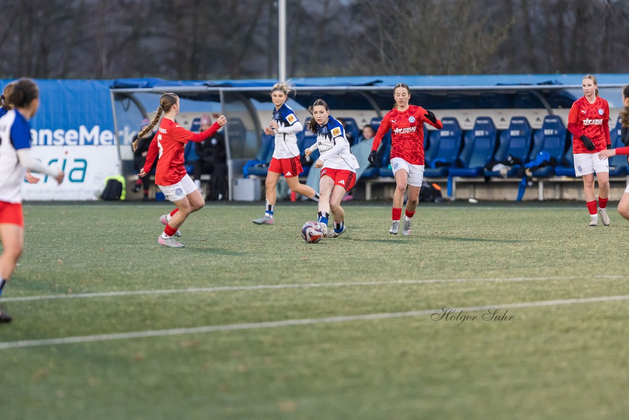 Bild 442 - wBJ Hamburger SV - Holstein Kiel : Ergebnis: 8:0